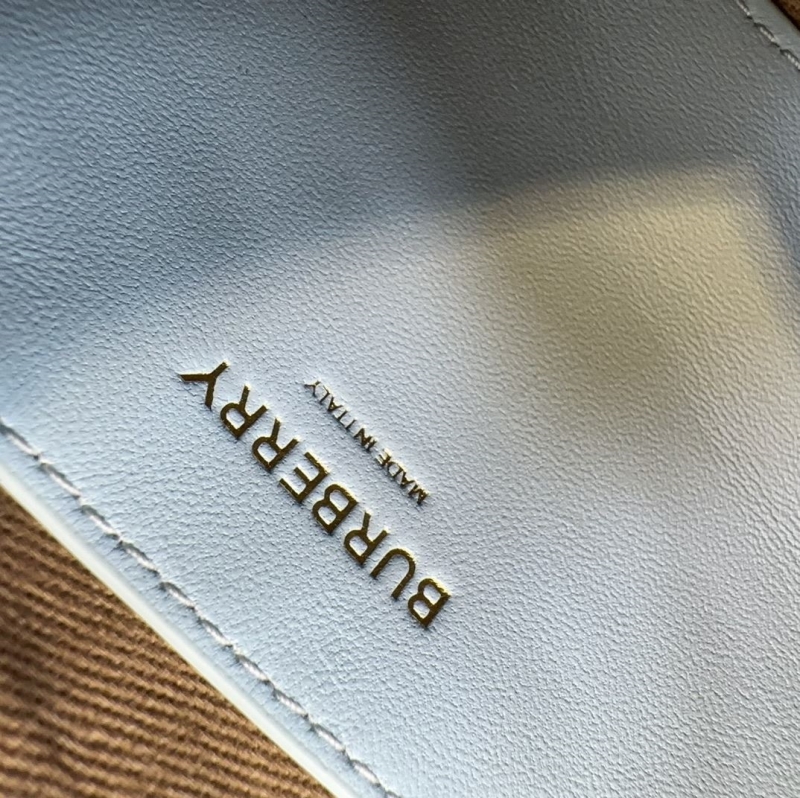 Bv*b*rry camera bags